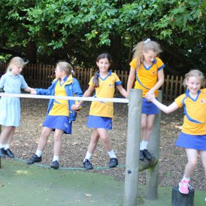 group of school girls in PE kits playing on a climbing frame
