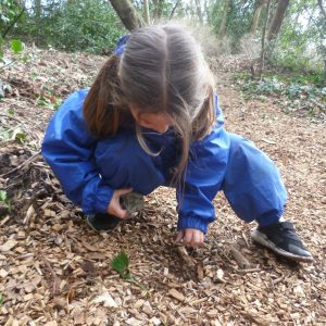 child collecting outdoor items