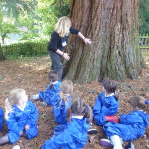 school children looking at a tree
