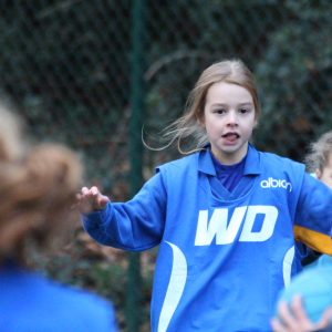 school netball game