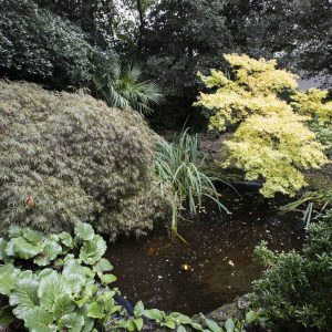 school pond at Holy Cross Prep