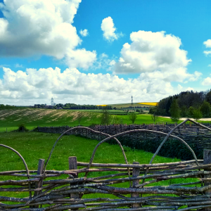 Rolling fields