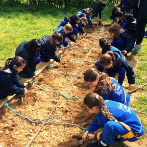 children in a row excavating