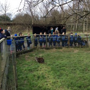 Students at the british wildlife centre