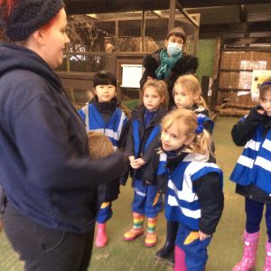 Year 2 visit to the British Wildlife Centre