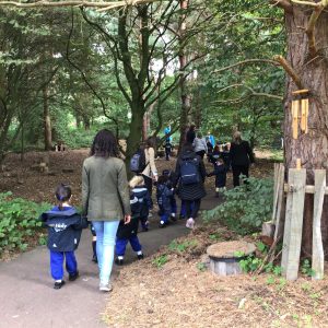 children walking into a forest with their teachers